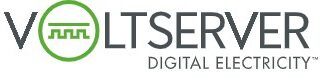 VoltServer Digital Electricity logo